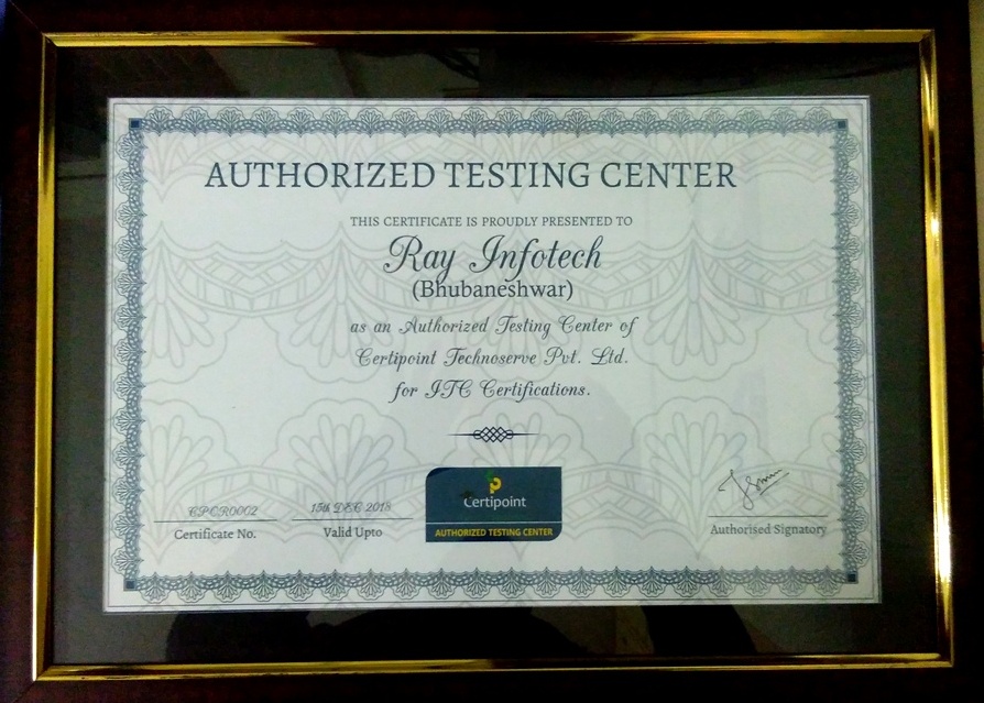 RAY INFOTECH